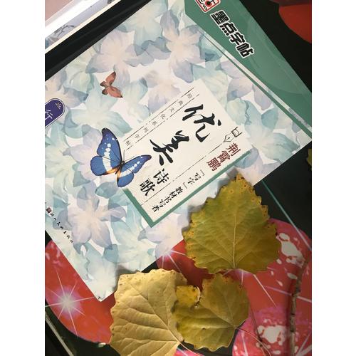 墨點字帖：經典文化系列字帖.優美詩歌   楷書、行楷鋼筆字帖