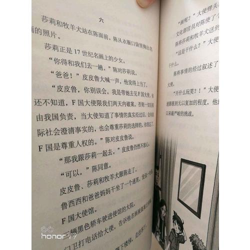 鄭淵潔四大名傳：大灰狼羅克傳