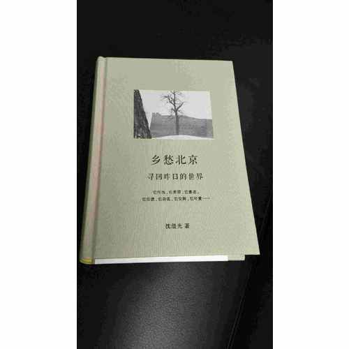 鄉愁北京：尋回昨日的世界