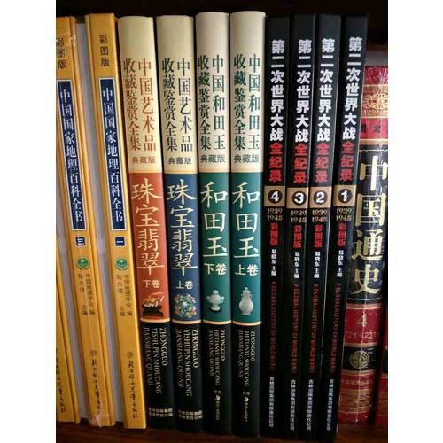 中國藝術品收藏鑒賞全集：玉器