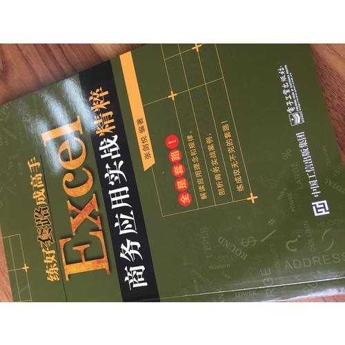 練好套路成高手：Excel商務(wù)應(yīng)用實戰(zhàn)精粹