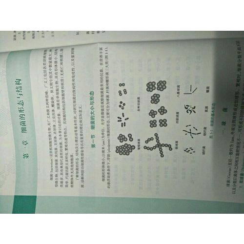 醫學微生物學（第3版）