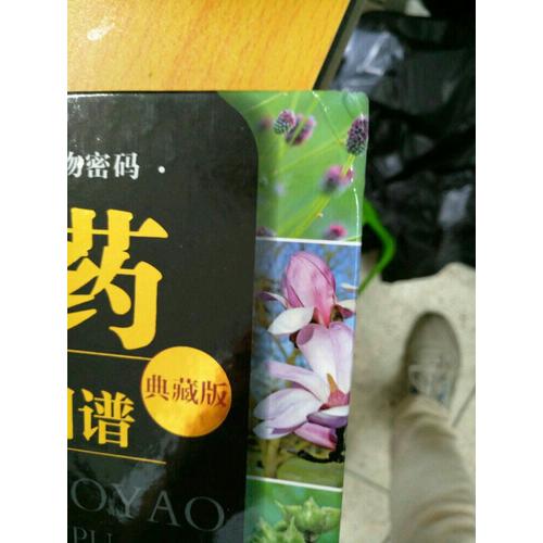 中草藥高清大圖譜（典藏版）