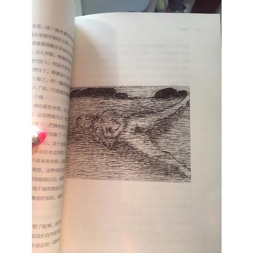 青銅時代：王小波作品（插圖珍藏本）