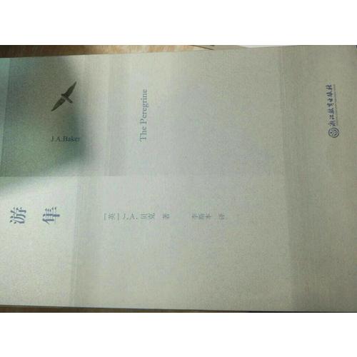 游隼