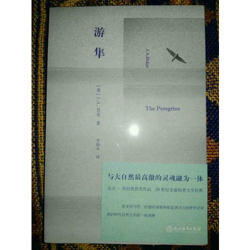 游隼