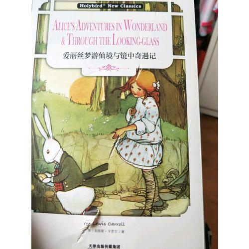愛麗絲夢游仙境與鏡中奇遇記