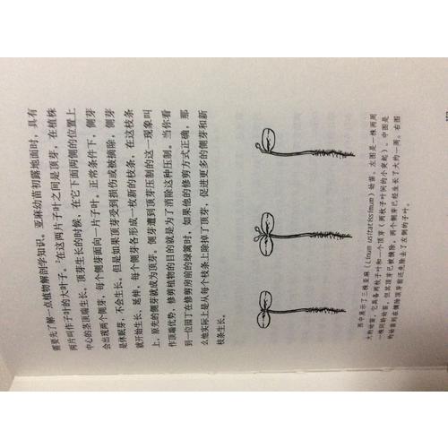 動物知道生命的答案