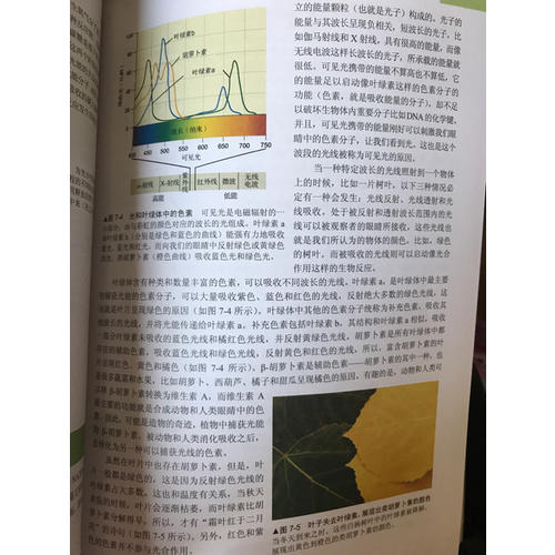 生物學(xué)與生活（原書第10版）