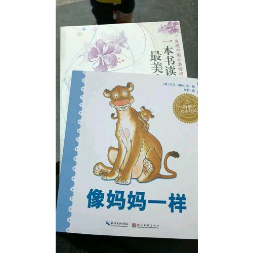 海豚繪本花園：像媽媽一樣（平）