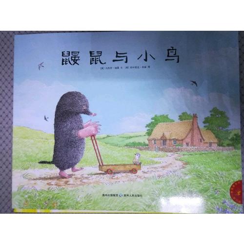 一看再看：鼴鼠和小鳥