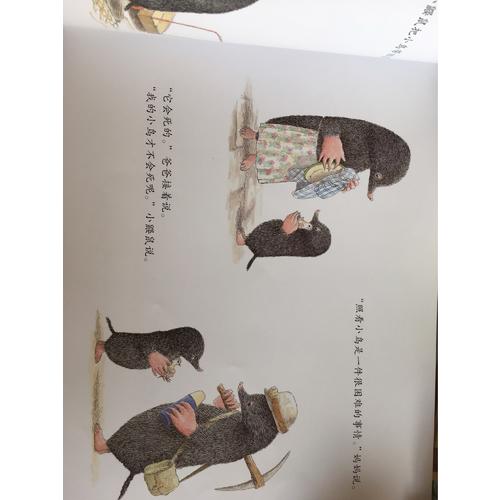 一看再看：鼴鼠和小鳥