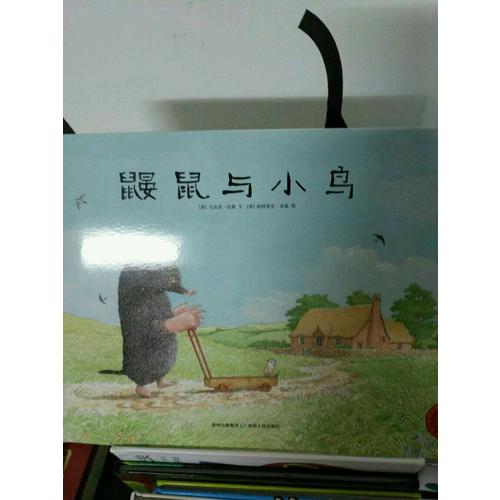 一看再看：鼴鼠和小鳥