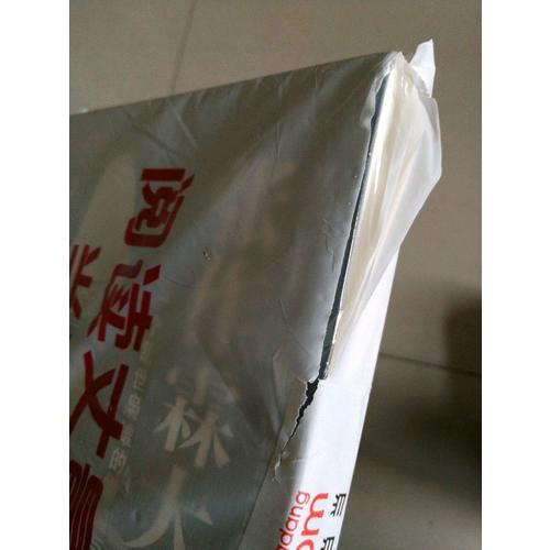 大傳：一個亂世梟雄的崛起與殞落