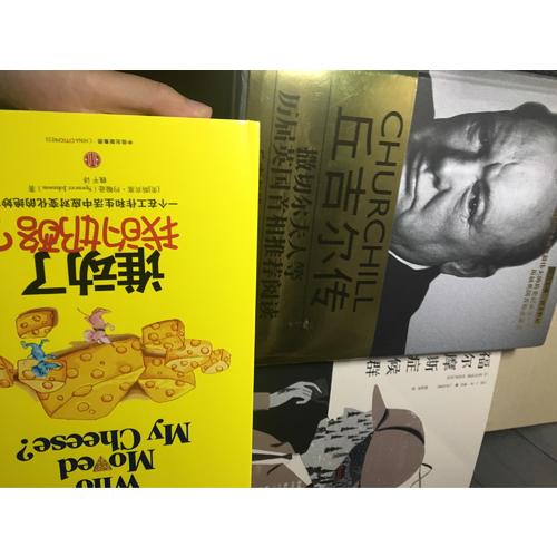 丘吉爾傳