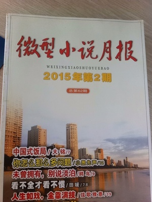 微型小說(shuō)選刊