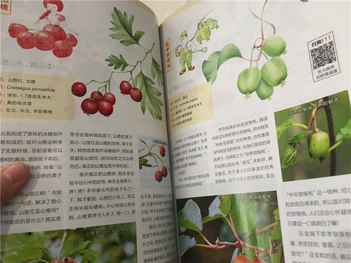 博物