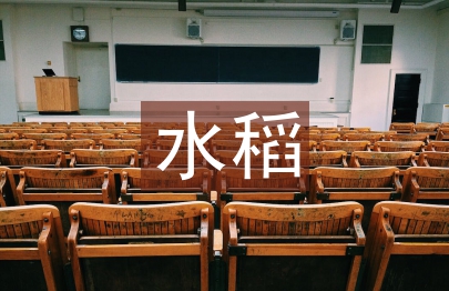水稻種植規劃