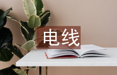電線調(diào)查報告