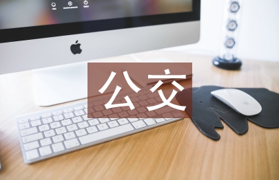 公交調查報告