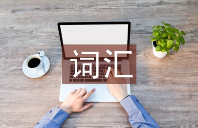 詞匯在英語學(xué)習(xí)中的重要性
