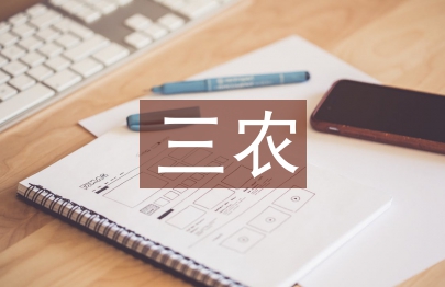 三農政策論文