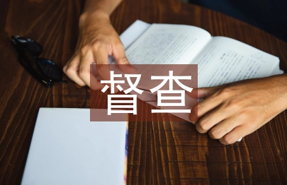 安全生產(chǎn)督查匯報材料