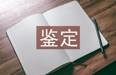 黨員鑒定表自我總結