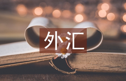 外匯投資論文