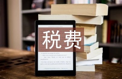 稅費征管體系