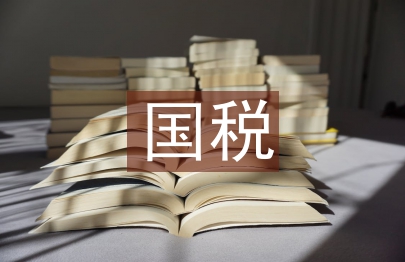 國稅演講稿