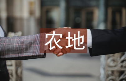 農(nóng)地金融論文