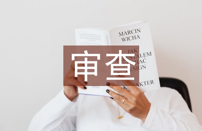 審查調查存在問題