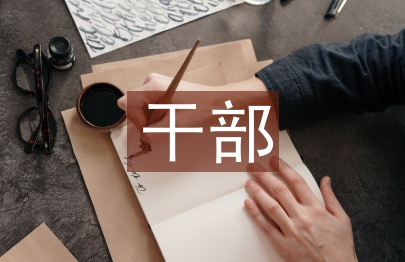 扶貧辦干部總結
