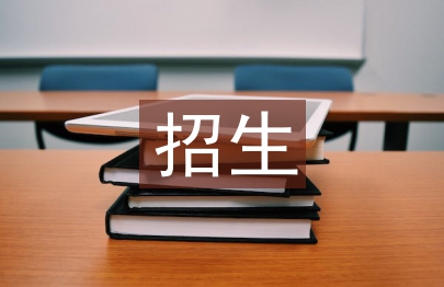 招生工作思路