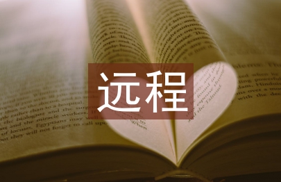 遠程審計的思考