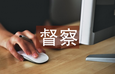 紀檢督察工作意見