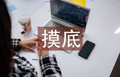 摸底調(diào)查報(bào)告