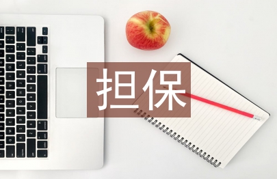 擔保業(yè)務工作計劃