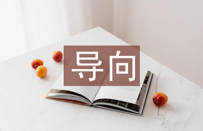 行動(dòng)導(dǎo)向教學(xué)論文