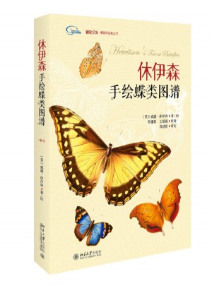 休伊森手繪蝶類圖譜