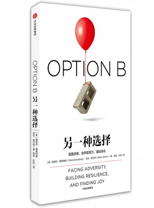 另一種選擇