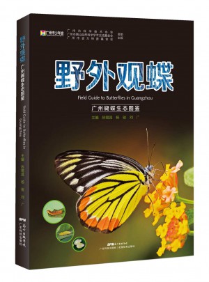 野外觀蝶-廣州蝴蝶生態圖鑒