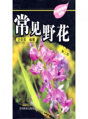 大自然珍藏系列-常見野花