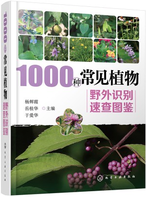 1000種常見植物野外識別速查圖鑒