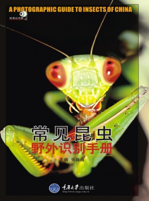 常見昆蟲野外識別手冊