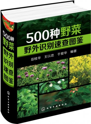 500種野菜野外識(shí)別速查圖鑒