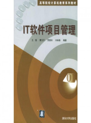 IT軟件項目管理