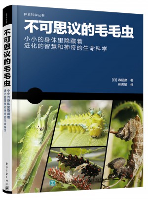 不可思議的毛毛蟲