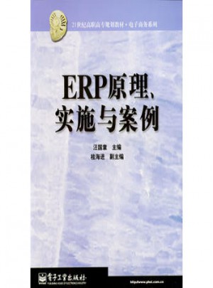 ERP原理、實施與案例